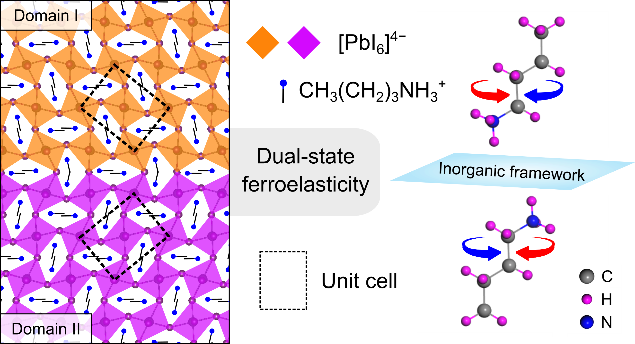 acsnano.png